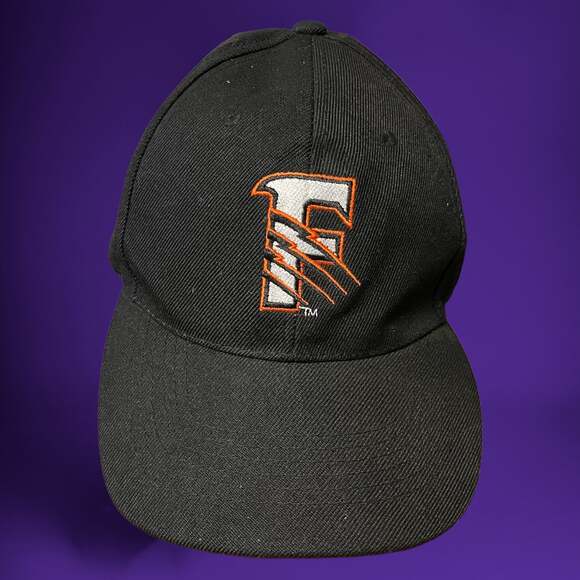 Fresno Grizzlies Hat 2015 Triple A Champions Strap Back Minor League Baseball - Picture 1 of 7